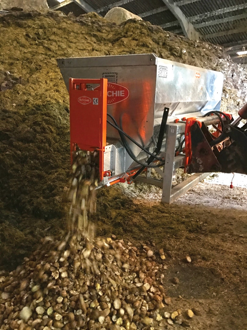 Roots And Grain Feeding Ritchie