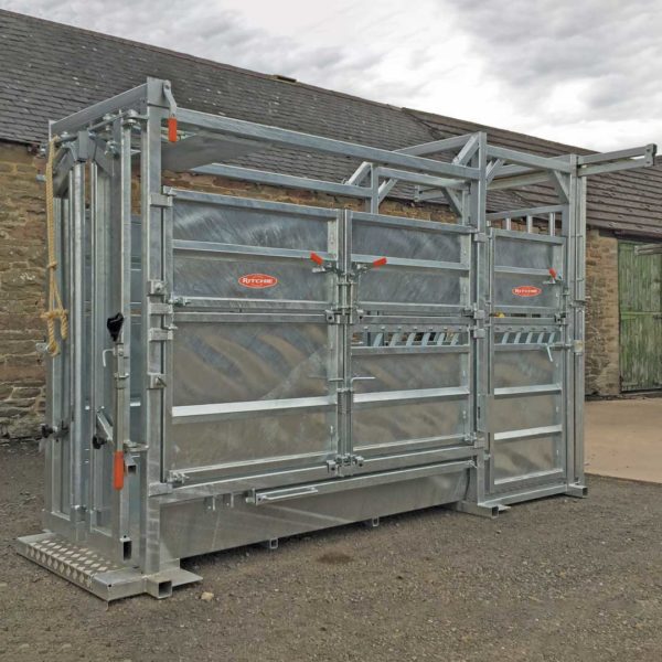 Extended Length Continental Cattle Handling Crate
