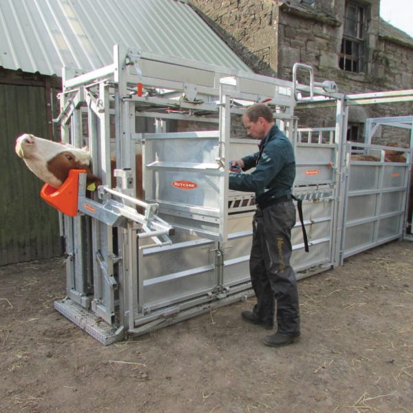 Squeeze Crate with Automatic Yoke