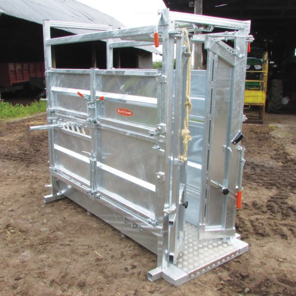 Continental Cattle Crate with Automatic Yoke