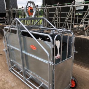 Calf Weighing Crate
