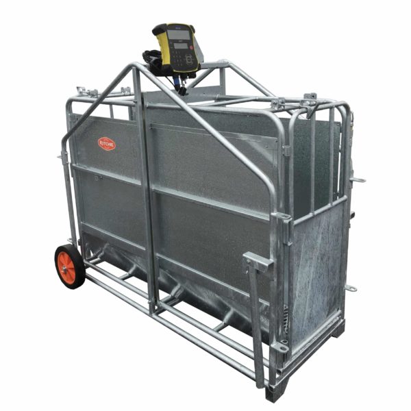 Calf Weighing Crate with Tru-Test System