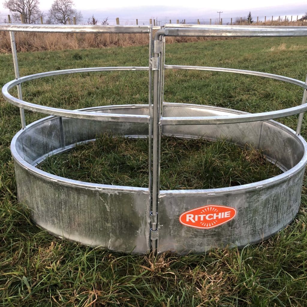 Feed Ring For Horned Sheep Ritchie