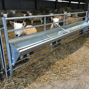 Tipping Trough Sheep Feed Barrier