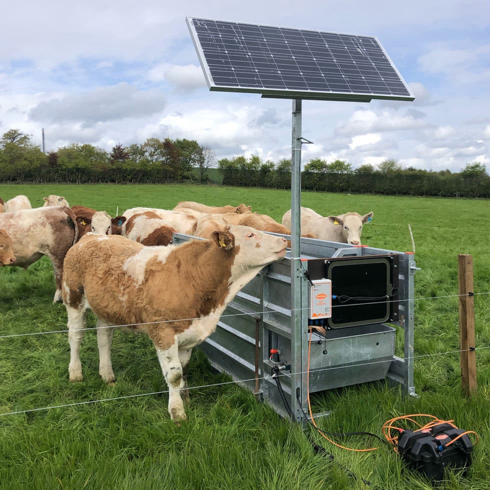 Beef Monitor 1 Best Cattle Weigh Unit Ritchie