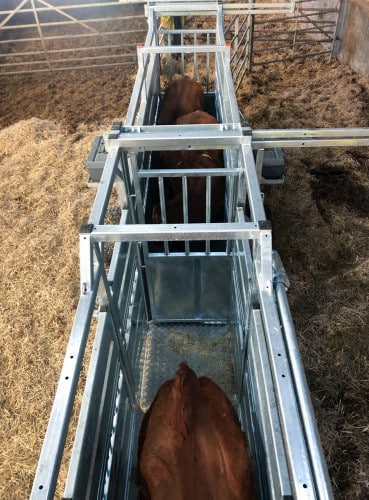 Mobile Cattle Crate