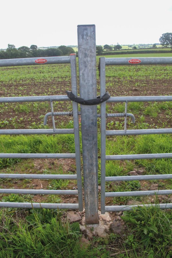 midland standard field gate