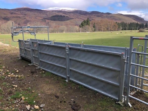Highland Cattle Access Cubical