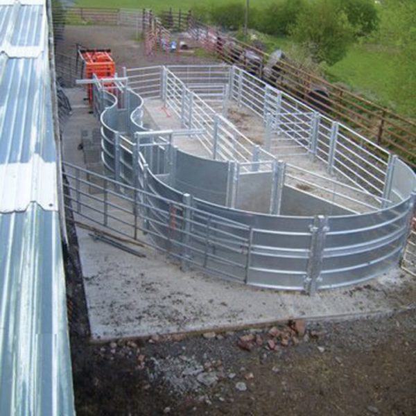 custom cattle handling system