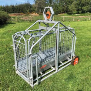 Pig and Lamb Weigher Digital