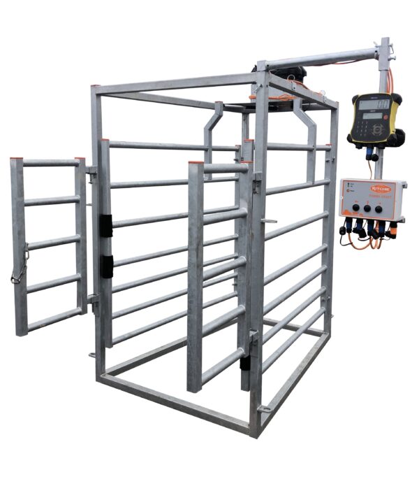 3-Way Cattle Drafting Gate