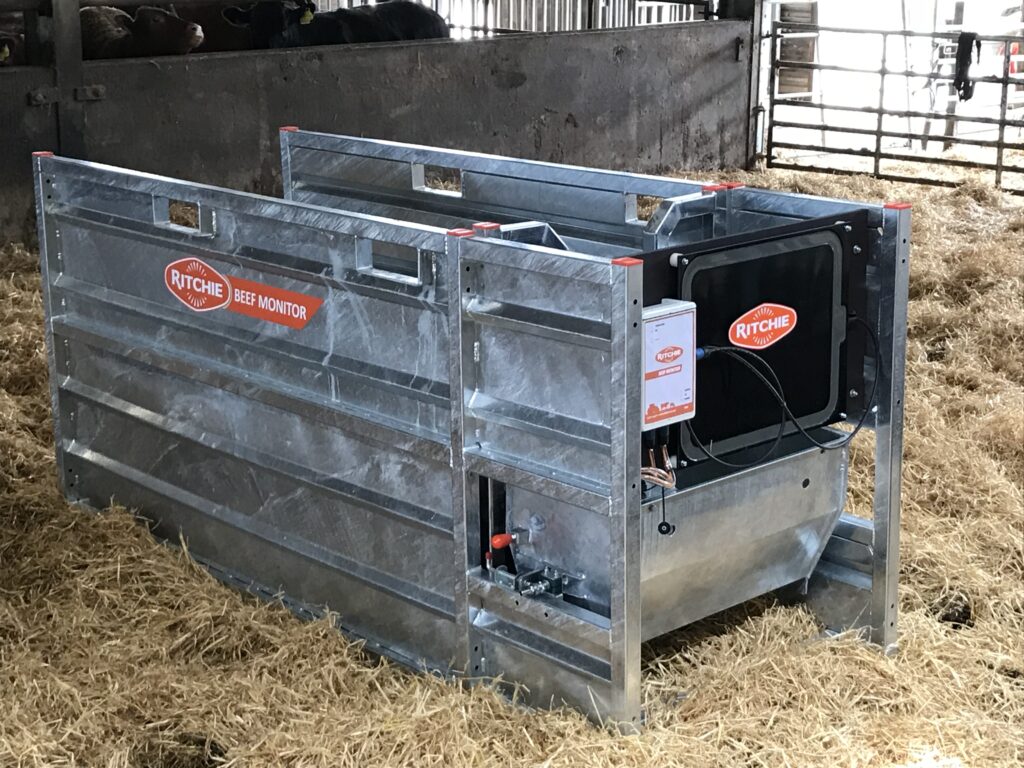 Beef Monitor Weighing system is in foreground with straw bedding around it