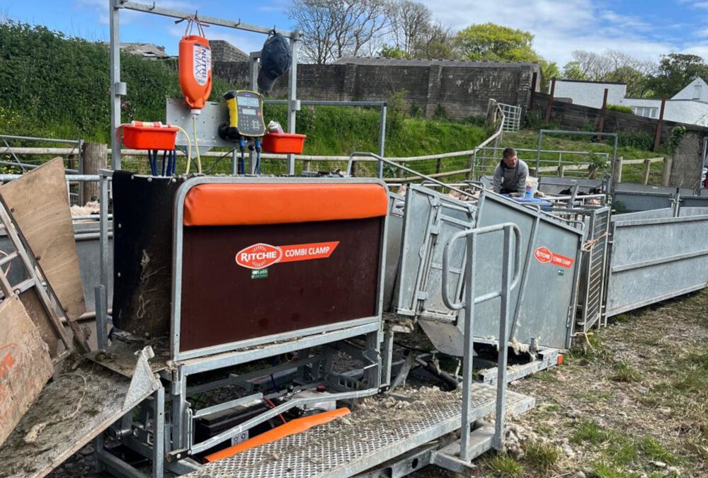 From 400 to 2700 Ewes with the Combi Clamp