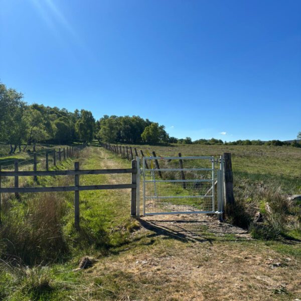 Self-Closing Pedestrian Gate 5' - Image 3