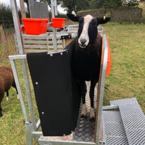 Replacement Grip Top Matting for the Combi Clamp