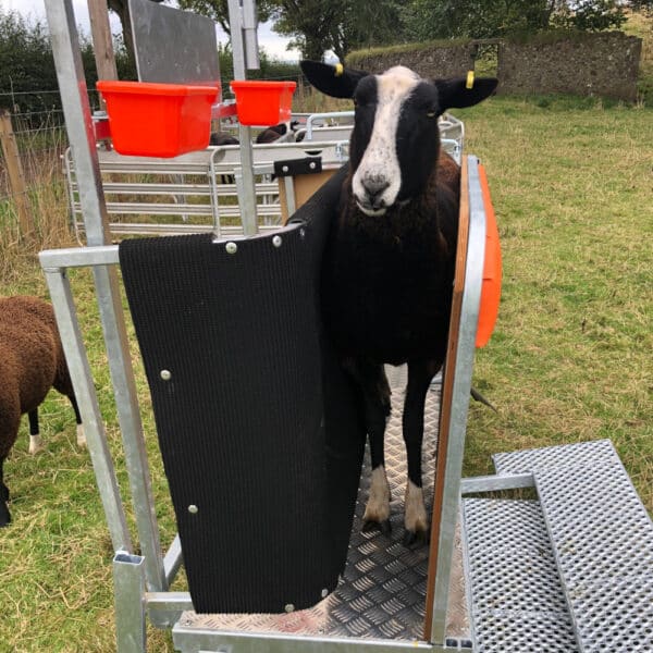 Replacement Grip Top Matting for the Combi Clamp